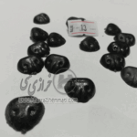 دماغ پلاستیکی عروسک سایز 13